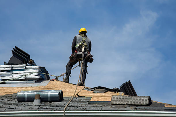 Professional Roof Replacement technician working in Stanford, IL